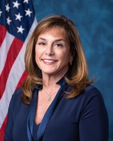Lisa McClain
